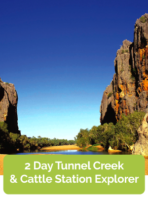 2 Day Tunnel Creek & Cattle Station Explorer